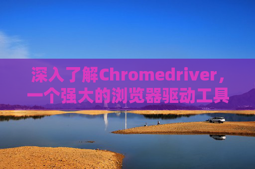 深入了解Chromedriver，一个强大的浏览器驱动工具